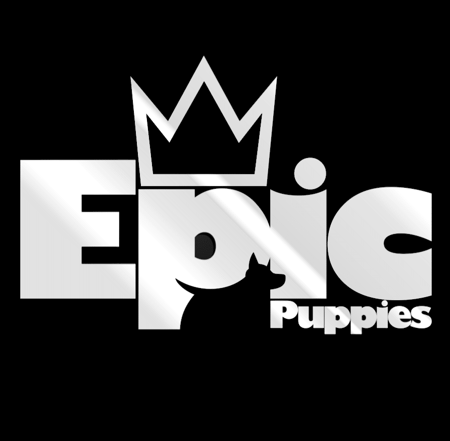 b38a5f_977a982703c6415299f5e717c8f3a329~mv2 (2)